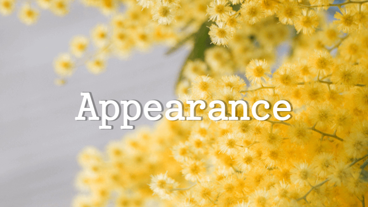 Appearance